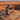 Dinosaur Bone Rings Explained