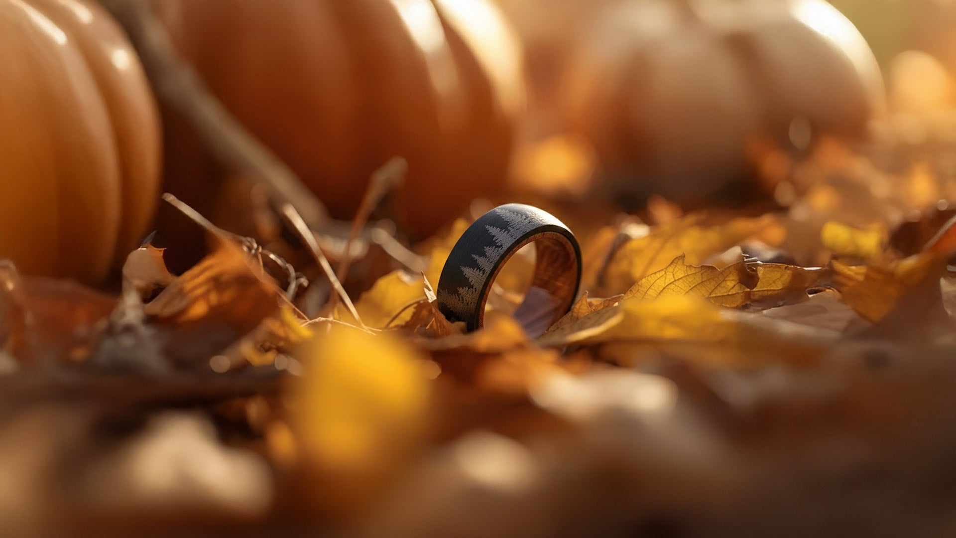 When Is Fall? | Handcrafted Wedding Bands – napoleonbands