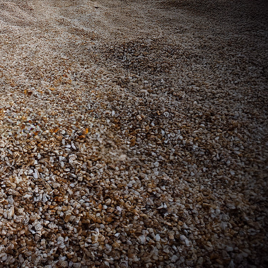 Hawaiian Sand Rings – napoleonbands