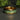 "Golden Grove 08" Green Moss Agate Inlay Yellow Gold Tungsten 8mm Wedding Band  for Him